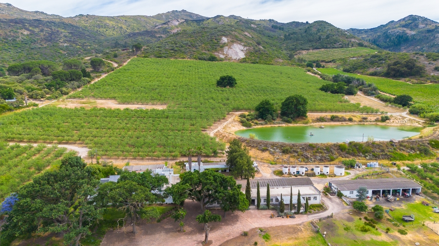 4 Bedroom Property for Sale in Paarl Rural Western Cape